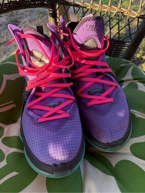 Nike LeBron 19 DJ Bron Purple Teal
Men's Basketball Shoes Size 10
EXCELLENT